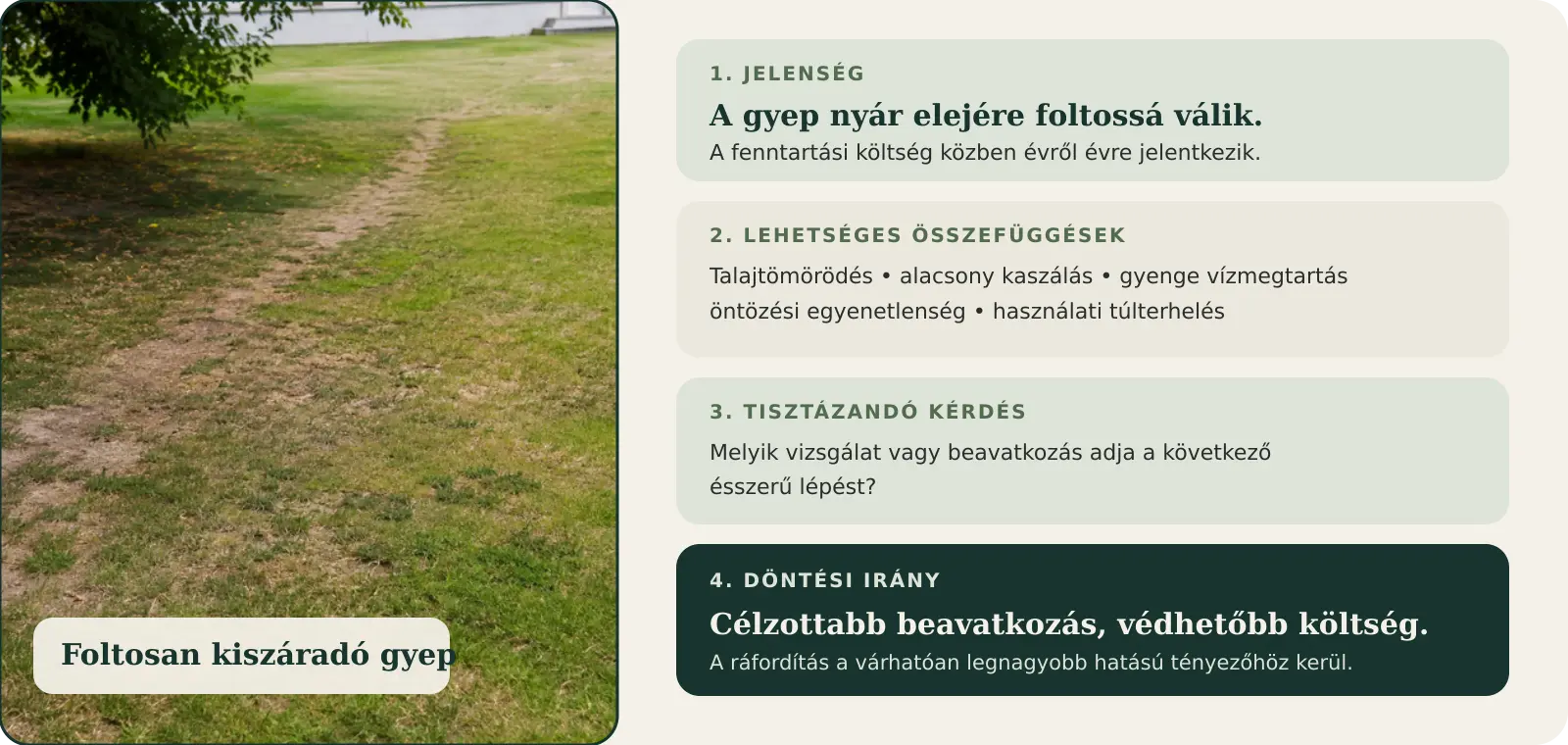 Mini esettanulmány a foltos gyep jelenségétől a célzott beavatkozásig