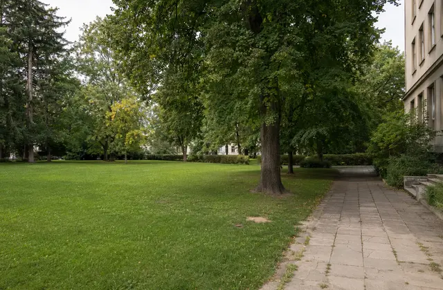 Fejlesztés előtt álló intézményi zöldfelület